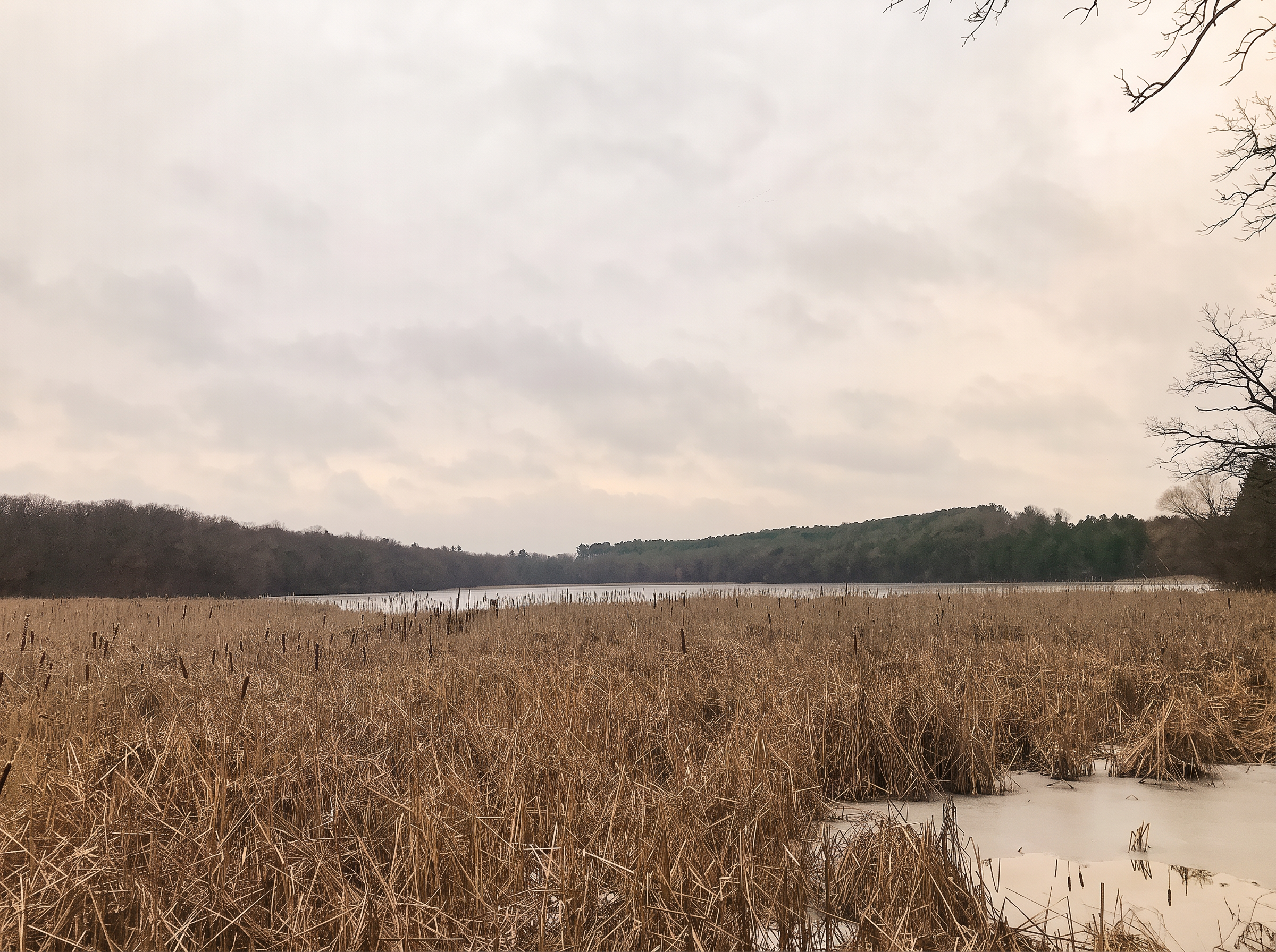 Forest Lake in Nashotah County Park near Nashotah, WI
