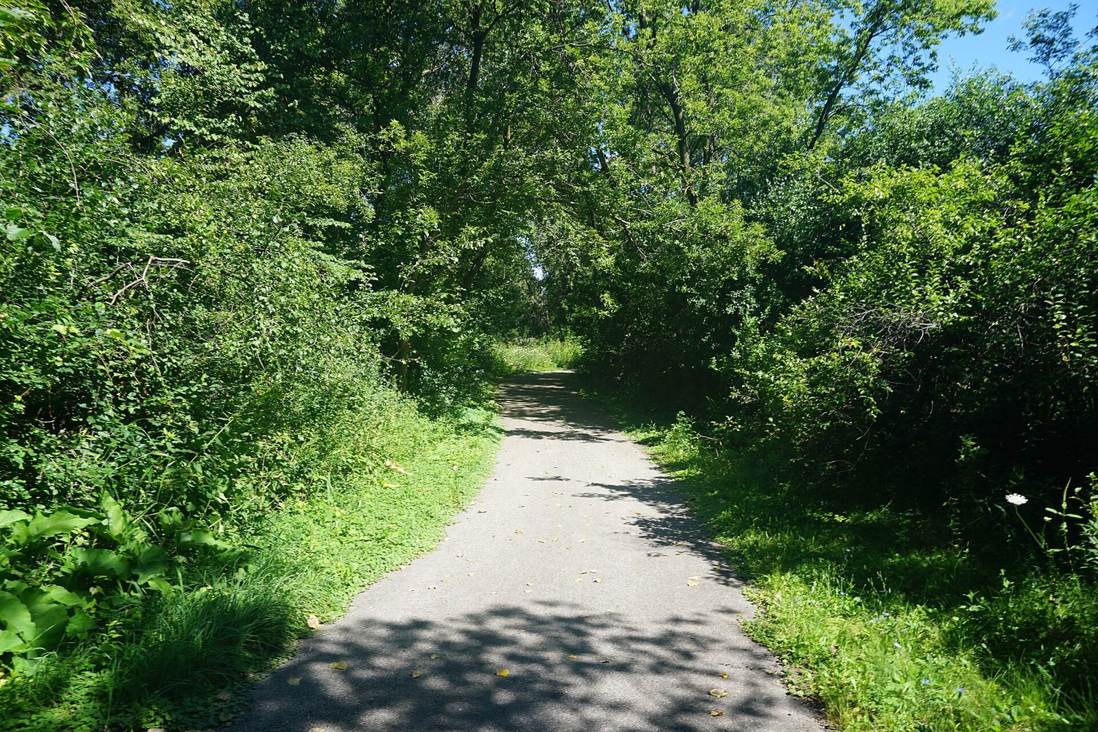 The Dousman Trail in Brookfield, Wisconsin (United States)., Brookfield, WI